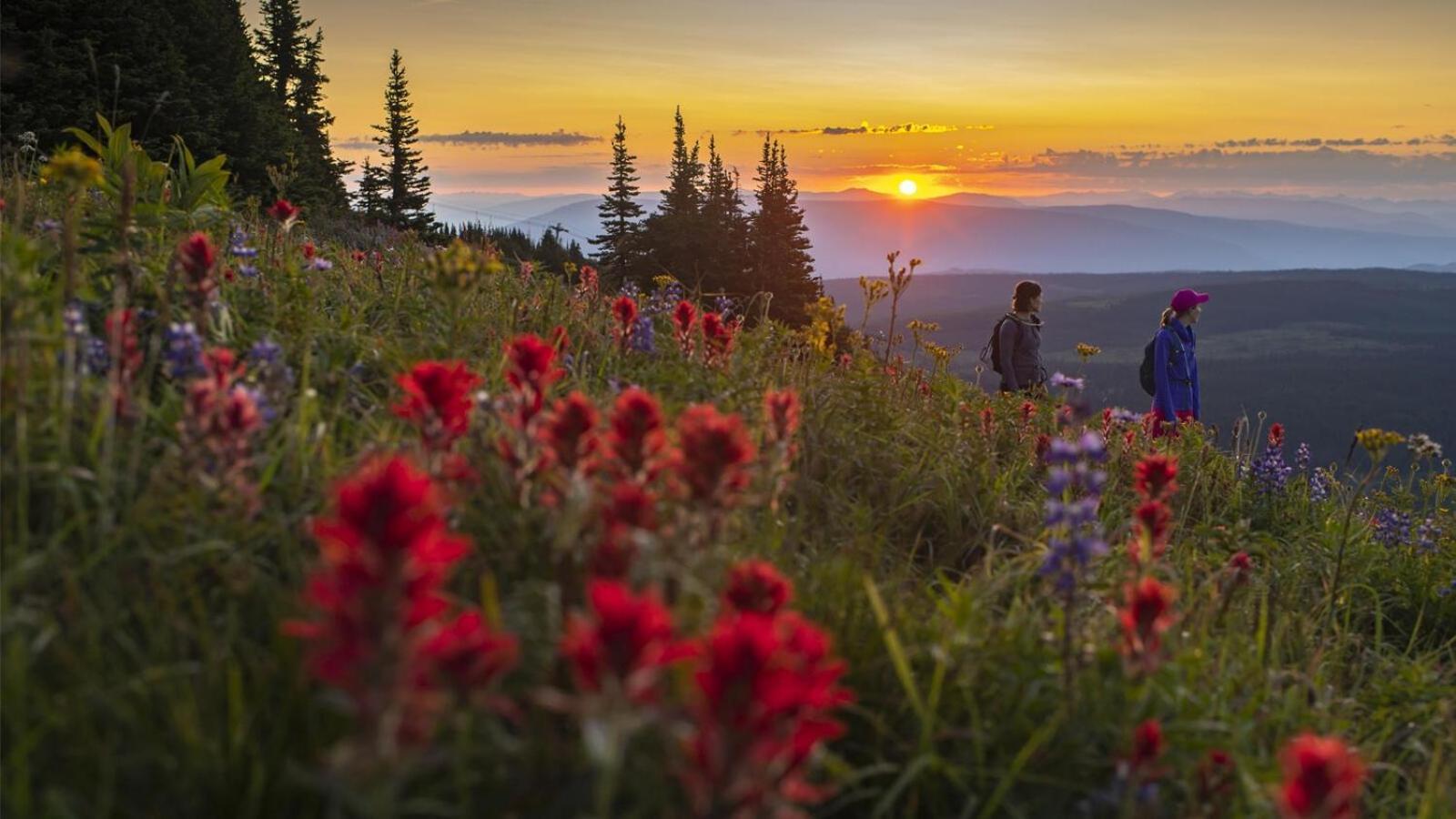 Fireside Lodge #409 By Bear Country Sun Peaks Εξωτερικό φωτογραφία