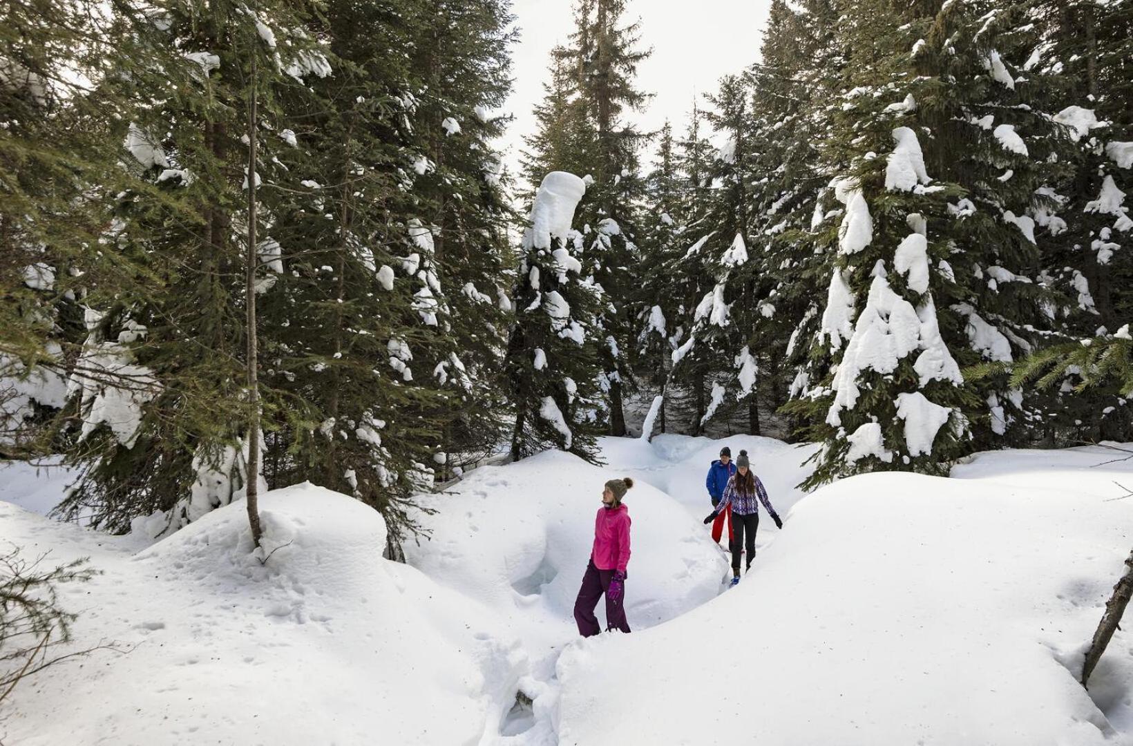 Fireside Lodge #409 By Bear Country Sun Peaks Εξωτερικό φωτογραφία